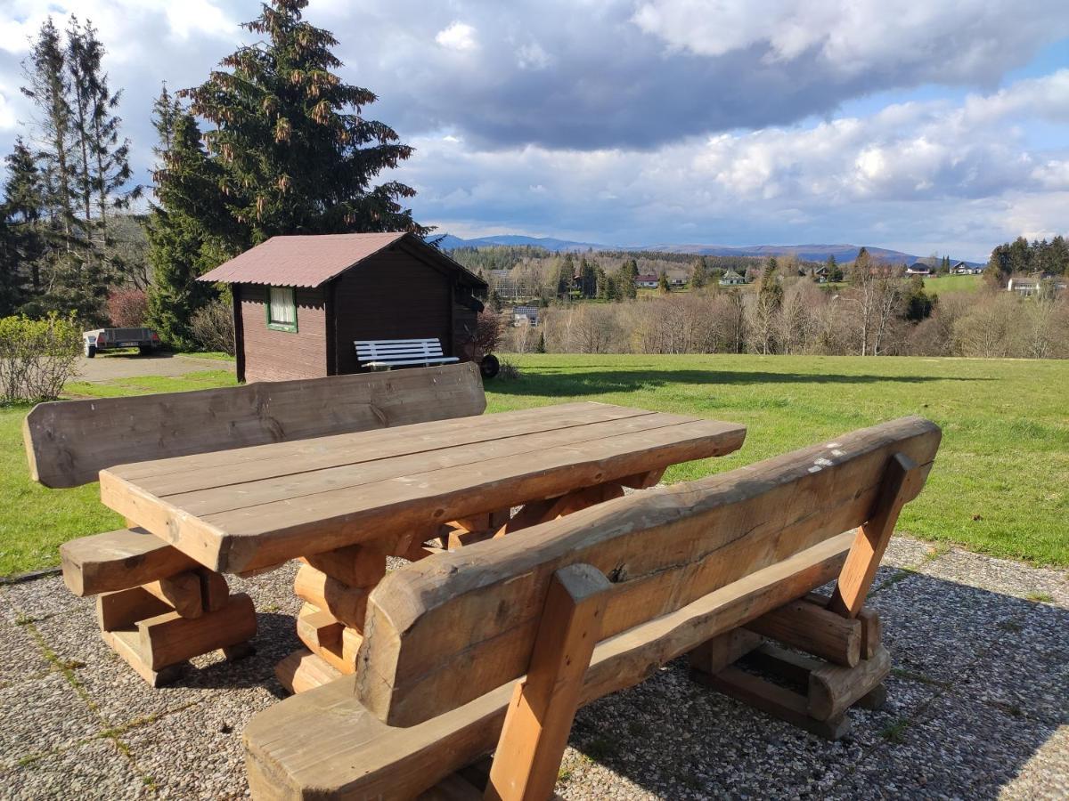 Ferienwohnung Harzluchs Mit Balkon, Netflix Und Sauna Im Haus Хоегайс Экстерьер фото