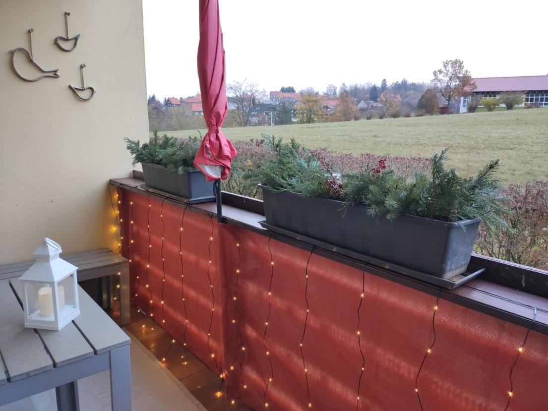 Ferienwohnung Harzluchs Mit Balkon, Netflix Und Sauna Im Haus Хоегайс Экстерьер фото