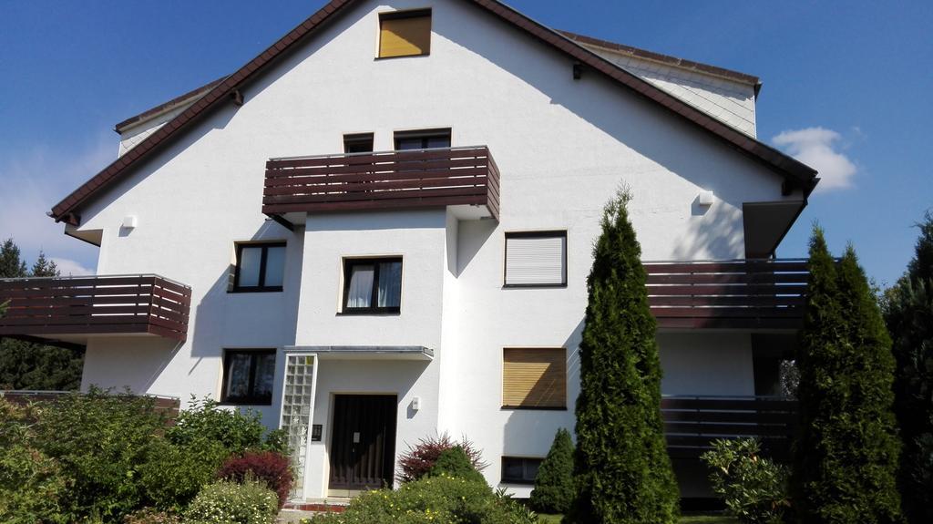 Ferienwohnung Harzluchs Mit Balkon, Netflix Und Sauna Im Haus Хоегайс Номер фото